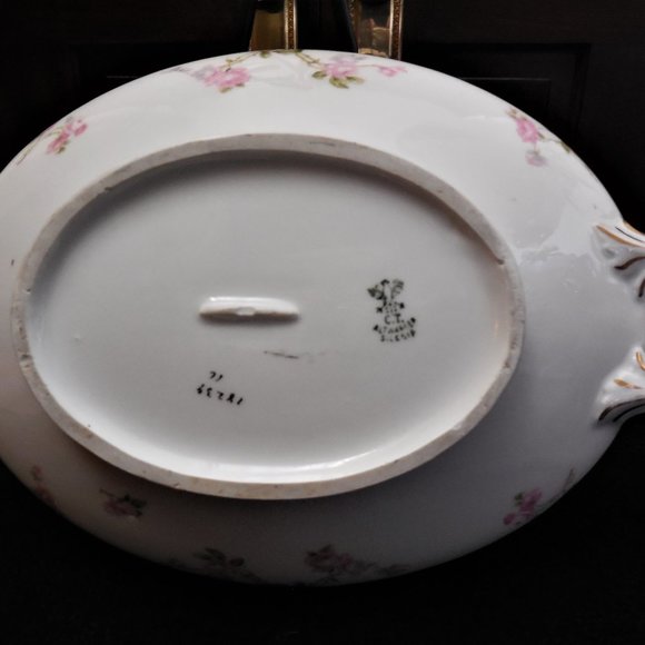 C.T. Altwasser Porcelain Serving Bowl Carl Tielsch Altwasser  vintage - Picture 2 of 2